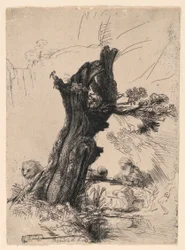Saint Hieronymus bredvid en pollard Willow