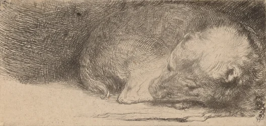 sovande valp, c. 1640.