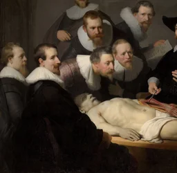 Dr Nicolaes Tulps anatomilektion, 1632 (detalj av 7543)