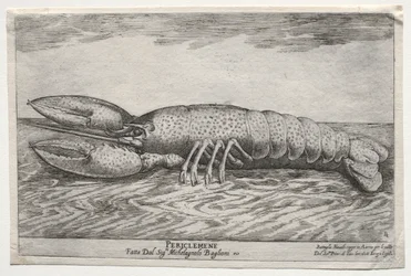 Sjöstrid representerad vid floden Arno i Florens, för Cosimo di Medicis äktenskap, 1608.