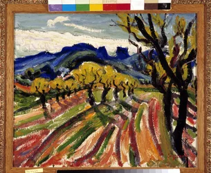 Fält med olivträd i Alpilles (olja på duk)