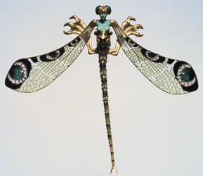Pectoral, sent 1800-tal