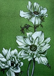 Kusliga gröna blommor