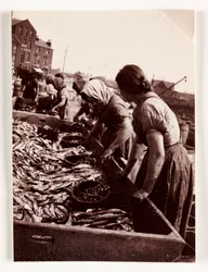 Fiske, fiskare Kvinnor som sorterar fisk, Whitby Harbour, North Yorkshire, ca 1905
