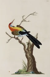 Gylling