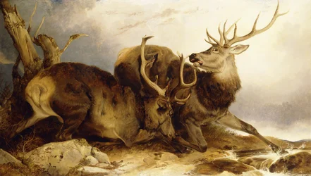 Striden, 1847