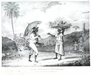 Söndag morgon i landet, illustration från "West India scenery"