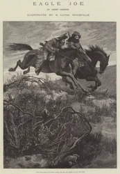 Eagle Joe, av Henry Herman