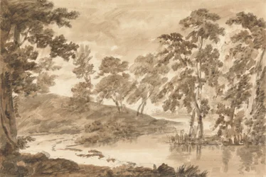 Skogslandskap