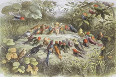 Musikrepetition i fairy land (illustration från "In fairy land. Pictures from the fairy world", av William Allingham och Andrew Lang