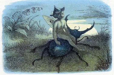 Fairy Queen