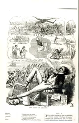 "The Land of Liberty", tecknad serie från Punch Magazine