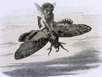 Un elfe chevauchant un papillon. Illustration av Richard Doyle däck av ""In Fairy land. En serie bilder från elf - världen"" accompagnee d