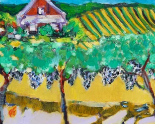 Merlot druvor, Napa, 2017