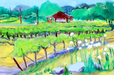 Vingård på Zinfandel Lane, Napa, 2019