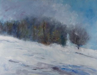 En snöig vinterskog