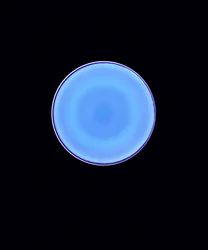 Circle X, 2005 (digitalt fotogram av c-typ)