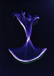 Utan titel, 2004