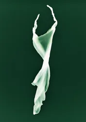 Utan titel, 2004