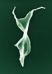 Utan titel, 2004