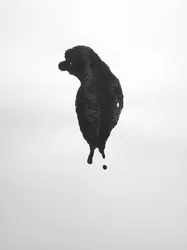 Utan titel, 2009 (monotypi)