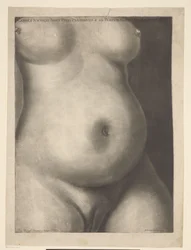 Torso av en gravid kvinna Sex anatomiska utskrifter av en graviditet (serietitel) Demonstrationer av en gravid livmoder hos en kvinna på heltid (...) (serietitel) Caroli Nicolai Jenty Uteri Praegnantis & ad Partum Maturi Demonstrationes (serien