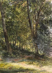 Sun Dappled Woods, Surrey (akvarell och kroppsfärg)