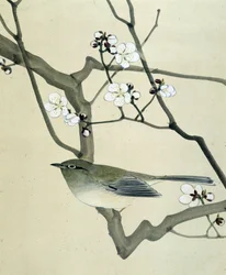 Fågel - japansk teckning av Riou Chim, sent 1800-tal