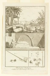 "Cultivation et Arsonnage du Coton" från Diderot