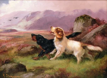 Gundogs (en i ett par)