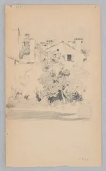 Trädgård