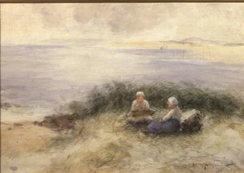 Ett sommarhav