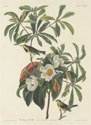 Bachmans sångare, 1834.