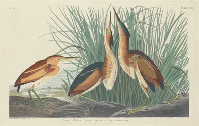 Minst bitter, 1834.