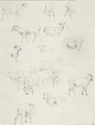 Fårflock, efter 1794 (grafit)