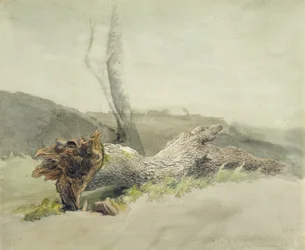The Fallen Tree, c.1804 (wc över grafit på vävt papper)