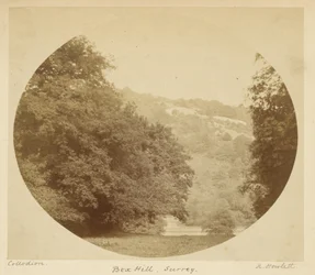 Box Hill, Surrey