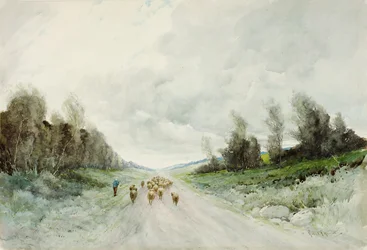 A Northumberland Road (wc på papper)