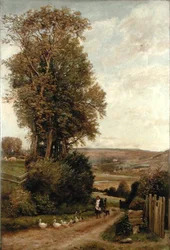 Vale of Rothbury