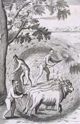 Sättet att trampa ut sitt ris, pub. 1681.