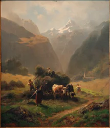 Höslagning i de höga bergen