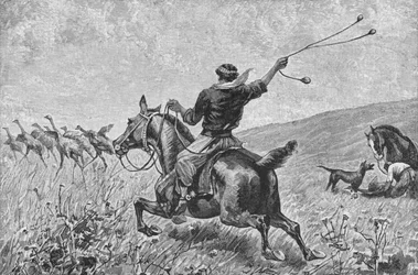 Throwing The Bolas, c1885, 1890