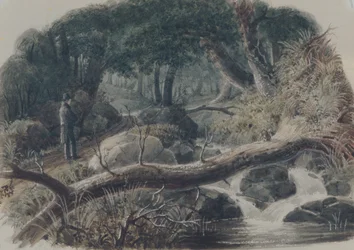 Ingången till en skog
