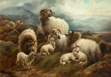 Får i ett landskap, 1894