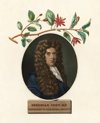 Porträtt av Nehemiah Grew, läkare och botaniker.1809 (gravyr)