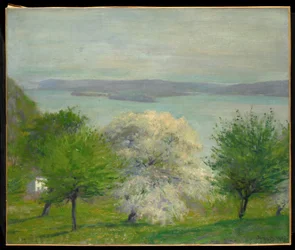 Äppelblom, 1903
