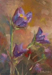Prairie Crocus, 2023 (olja på papper)