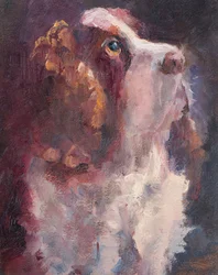 Romeo, 2015 (olja på pannå)