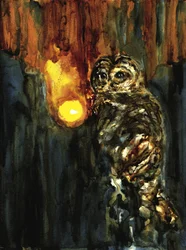 Mystisk ugglelampa