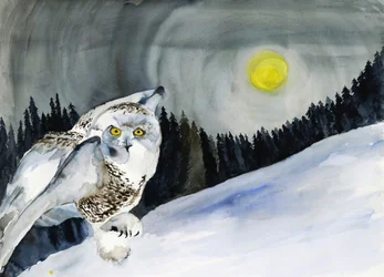 Snöuggla och vintermånen
